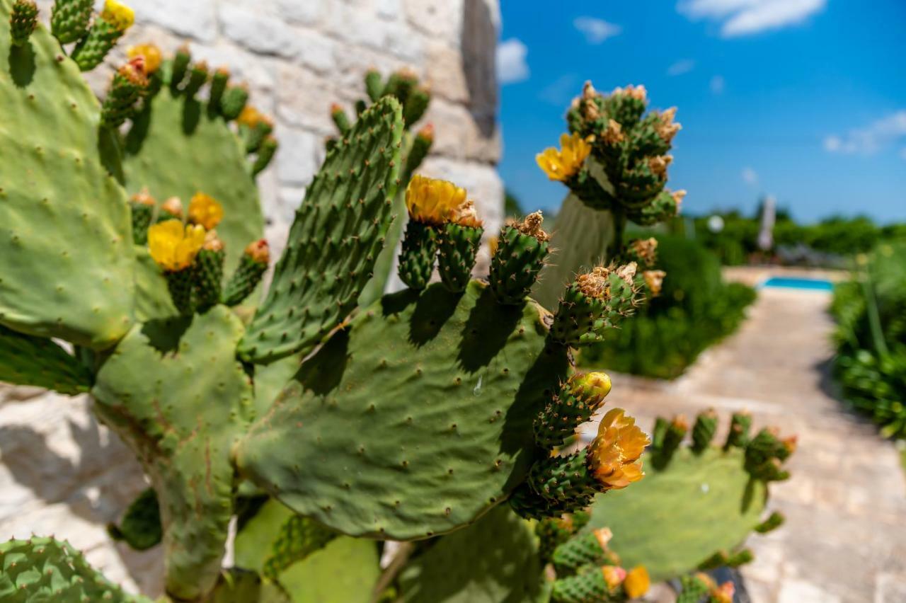 Wepuglia - Trullo Rampone Villa Martina Franca Eksteriør billede